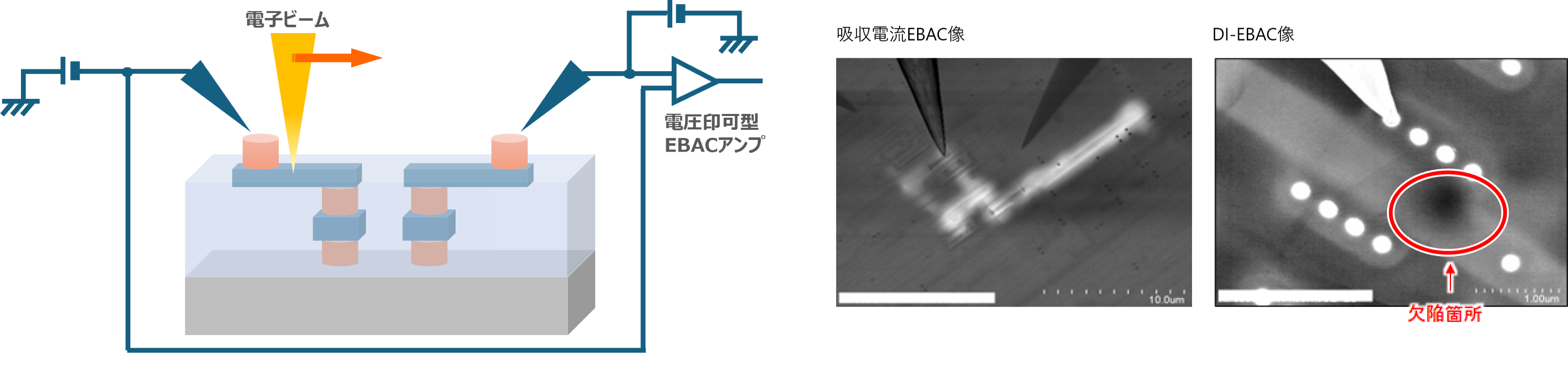 EBAC（Electron Beam Absorbed Current）解析イメージ