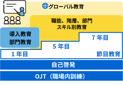 画像　教育制度概要
