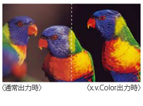 「x.v.Color対応」イメージ