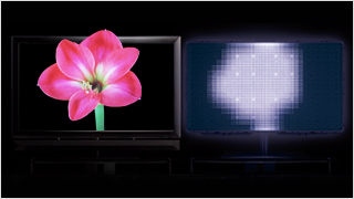 写真：高輝度な光で明瞭な3D映像を実現 3DメガLEDバックライトコントロールシステム