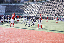 2026�N�ӂꂠ���싅���������{���܂���