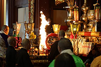 2026�N�V�[�Y���K���F������{���܂���