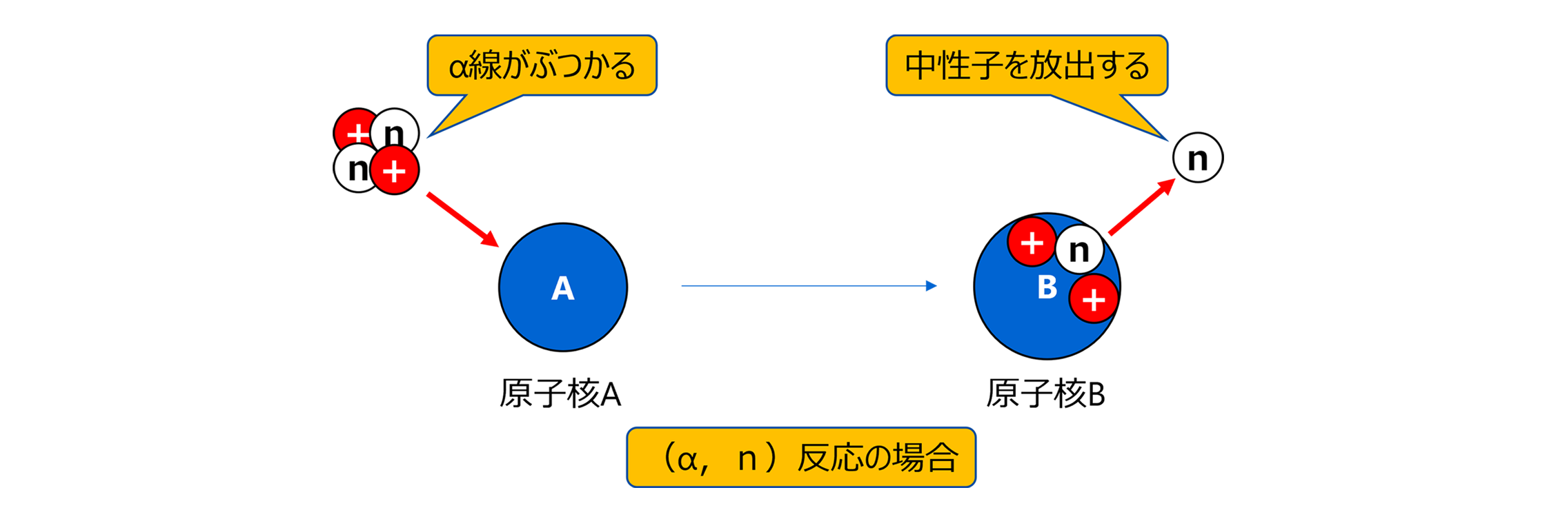 (α,n)反応による中性子放出図
