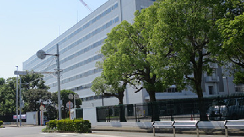 企業情報