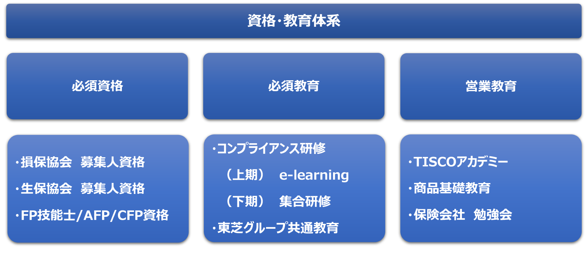 資格・教育体系
